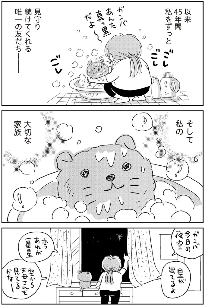 『ハルコの恋 55歳の私が35歳年下のアイドルを好きになったらダメですか？』 09-05.png