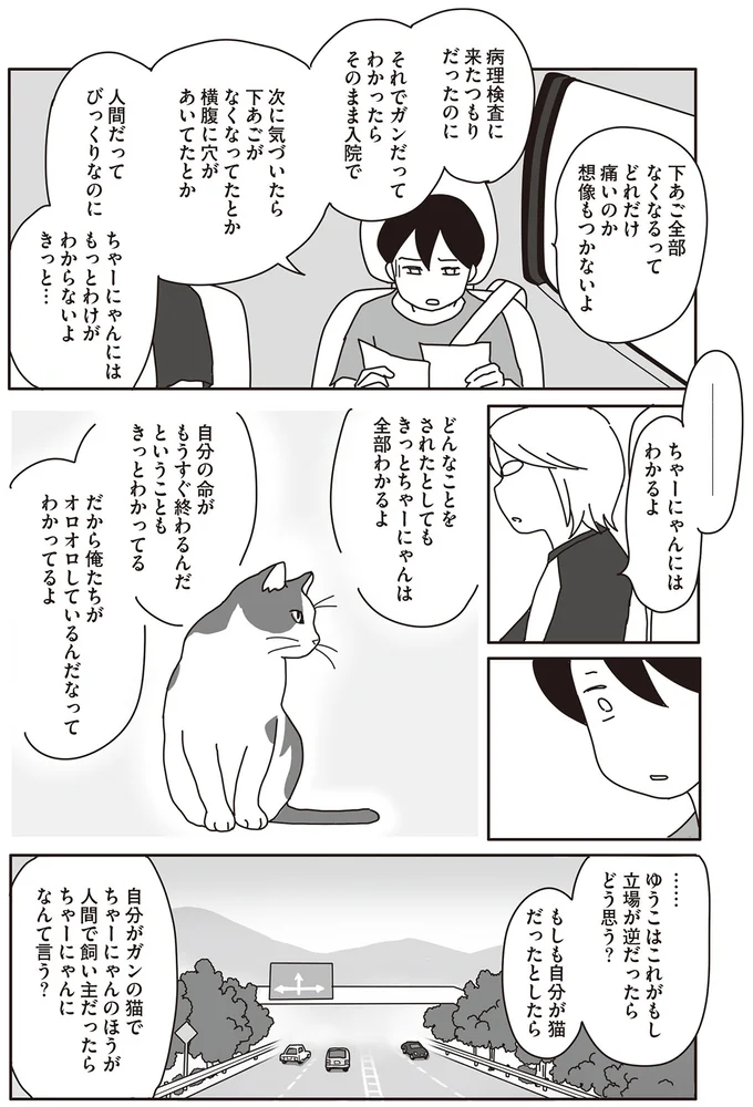 『世界一幸せな飼い主にしてくれた猫』 10-03.png