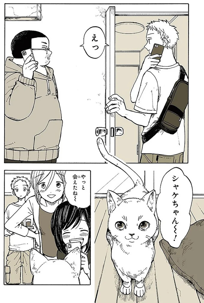 夜中、窓をカリカリする物音が。子猫が戻ってきたかと思ったら、あら大変！／特別じゃない日 15667011.webp