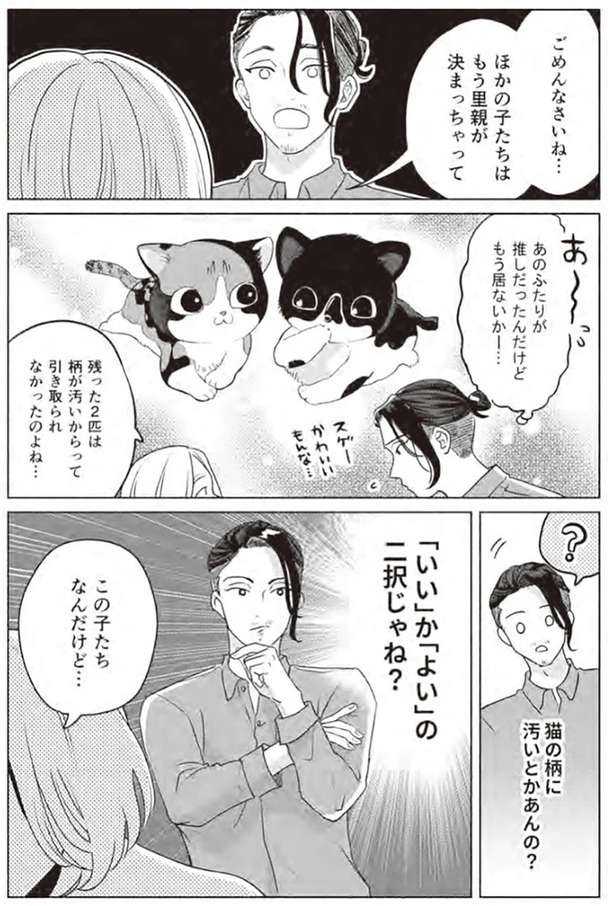 『借金1000万作曲家の人生を変えてくれた猫の話』 24.webp