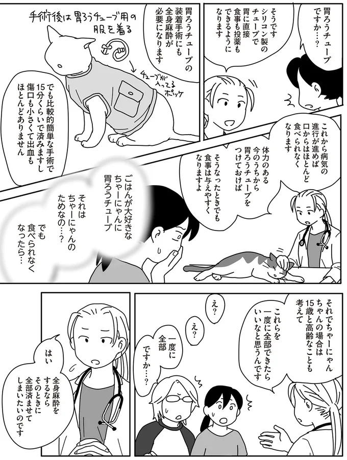 『世界一幸せな飼い主にしてくれた猫』 09-05.png