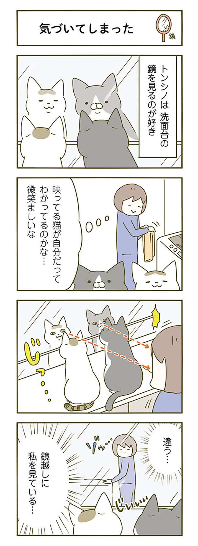 ギョッ！鏡を見るのが好きな猫たち。何を見てるのかと思ったら...／うちの猫がまた変なことしてる。2 11.jpg