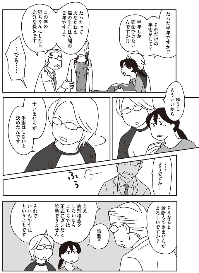 『世界一幸せな飼い主にしてくれた猫』 12-03.png