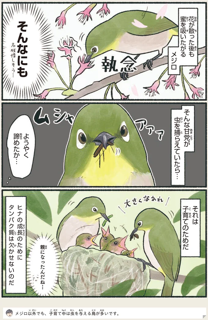 『意外と知らない鳥の生活 1〜2』 143.webp
