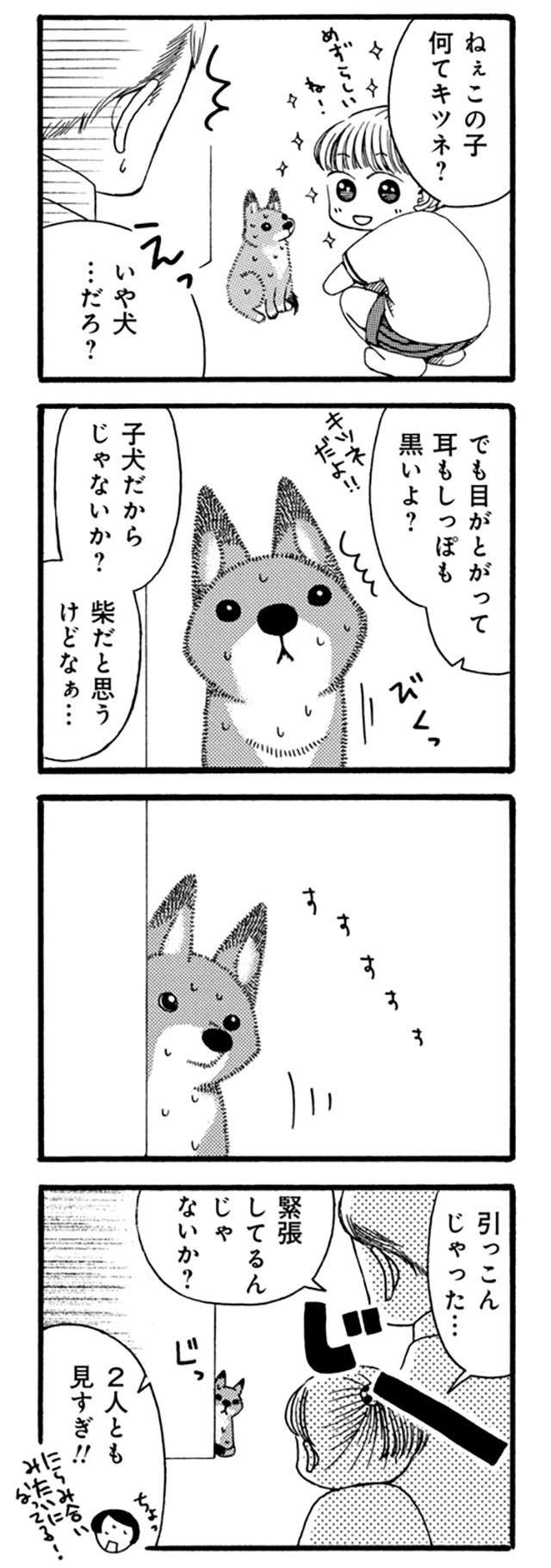 きゅうううん...子犬を迎えた日。小学生の娘が震えるほど感動した瞬間／96歳の柴犬ハチさん 3.jpg