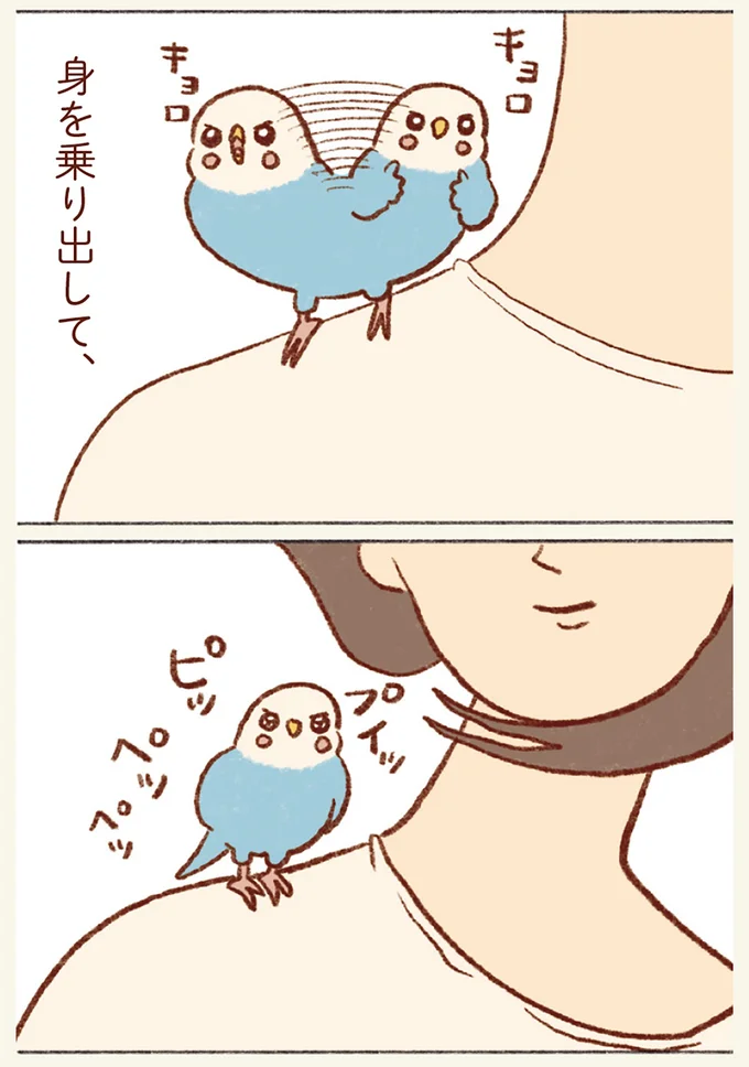 『プジェ日記！ 幸せを運ぶインコのみっちゃん』 22.webp