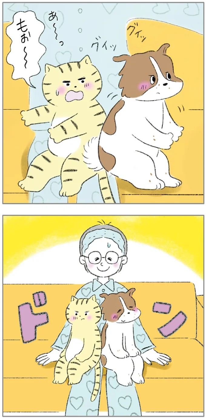 『ターとアグのしあわせ日和 元ノラ猫と元保護犬、ふたりは親友』 09-03.png