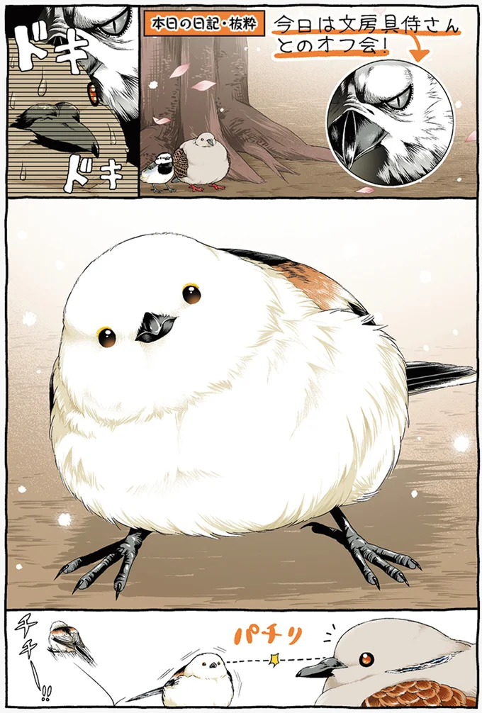 『キジバトくん日記1、２』 113.webp