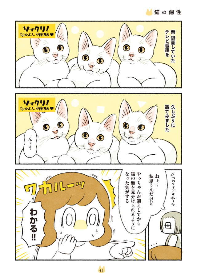 猫飼いになって得た能力。猫の見た目で判別できるようになること／茶トラのやっちゃんとちーちゃん２ chatora_p14.jpg