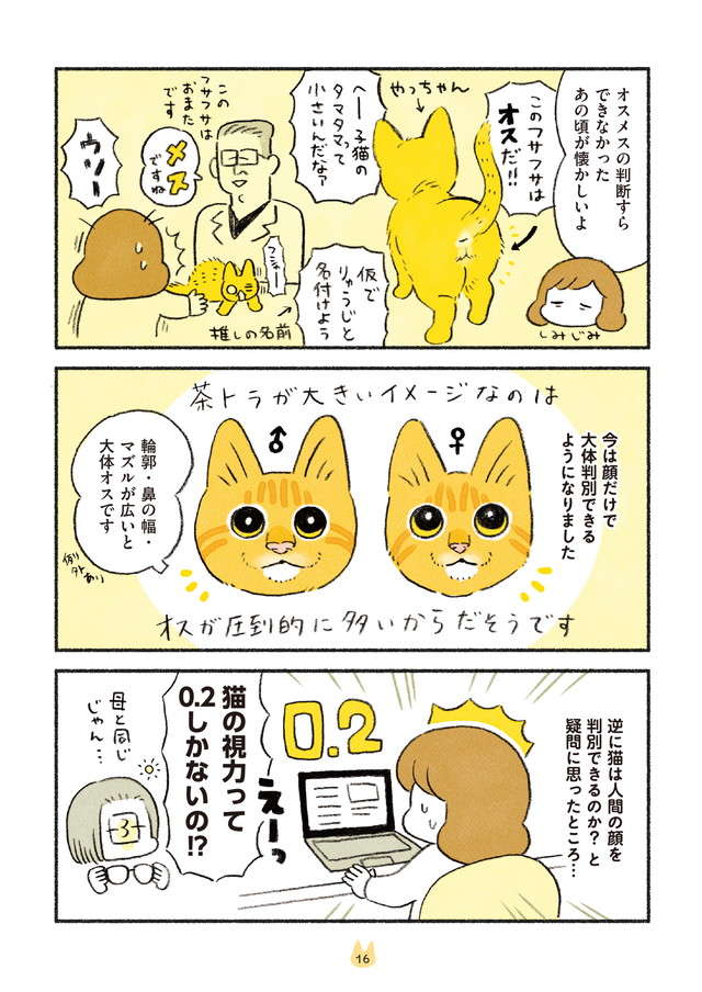 猫飼いになって得た能力。猫の見た目で判別できるようになること／茶トラのやっちゃんとちーちゃん２ chatora_p16.jpg