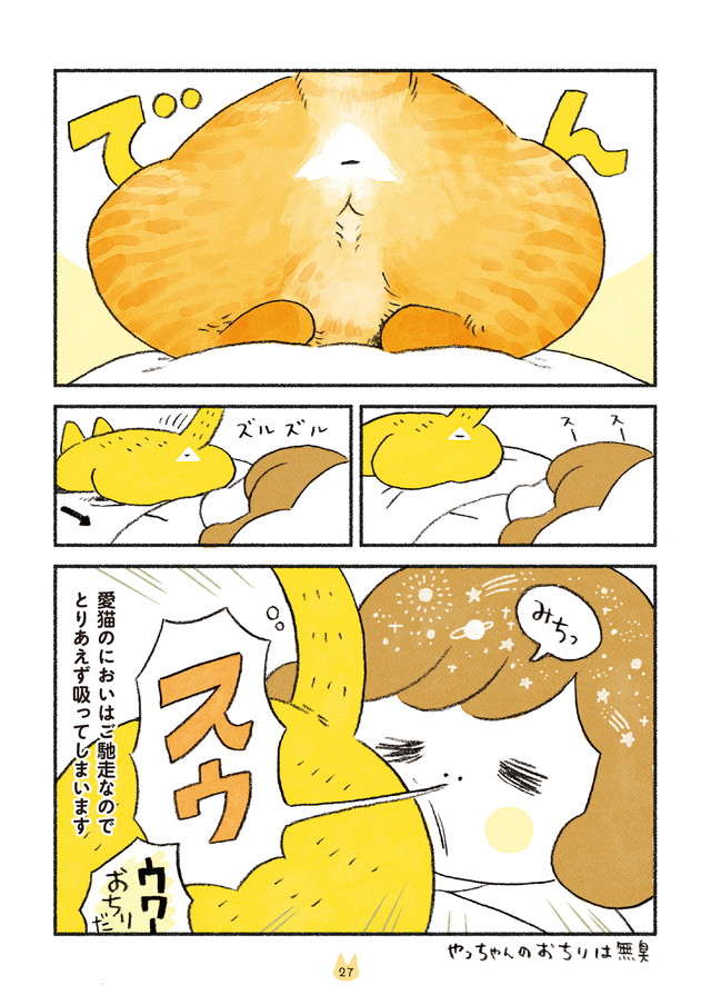 「猫は吸うもの」。ご馳走とも言える愛猫ないろいろな「臭い」／茶トラのやっちゃんとちーちゃん２ chatora_p27.jpg