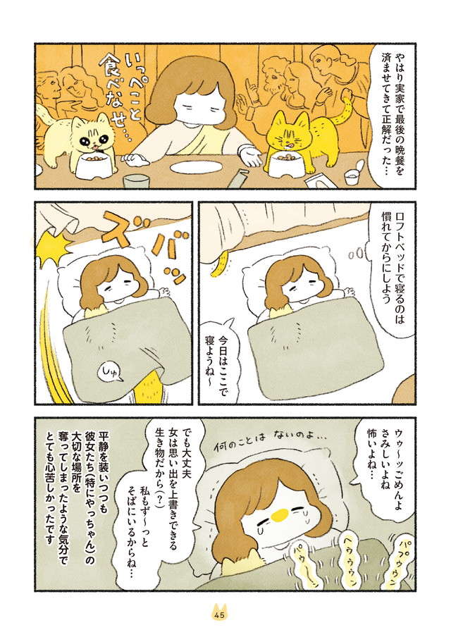 ヒャアアアン...愛猫たちとの引っ越し。猫たちのおびえた言動が心苦しい／茶トラのやっちゃんとちーちゃん２ chatora_p45.jpg