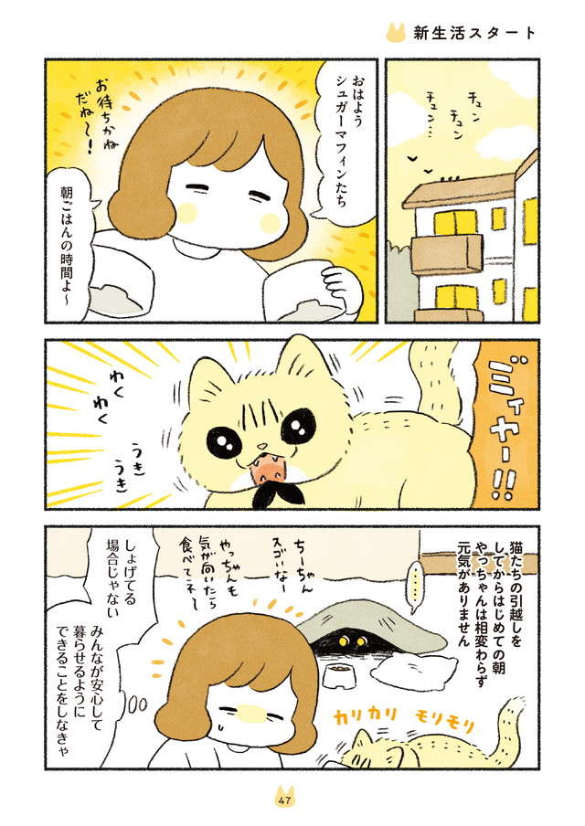 引っ越し直後の猫たち。じょじょに慣れたはいいが、本当に大変なのは／茶トラのやっちゃんとちーちゃん２ chatora_p47.jpg