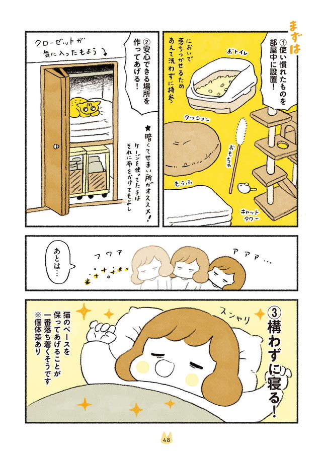 引っ越し直後の猫たち。じょじょに慣れたはいいが、本当に大変なのは／茶トラのやっちゃんとちーちゃん２ chatora_p48.jpg