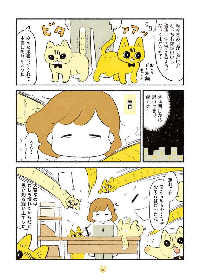 引っ越し直後の猫たち。じょじょに慣れたはいいが、本当に大変なのは／茶トラのやっちゃんとちーちゃん２ chatora_p50.jpg