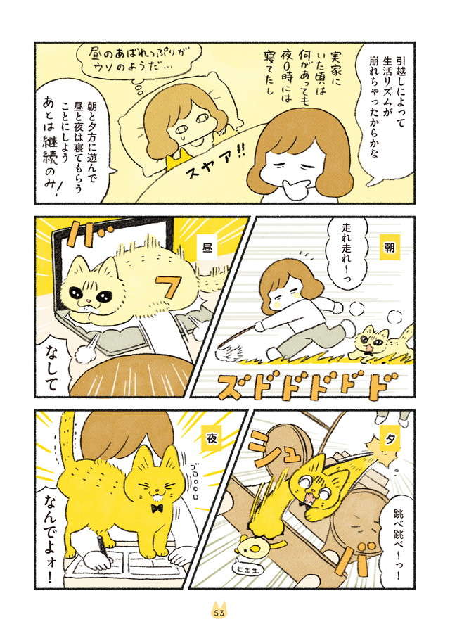 「猫はどこまで愛しい存在...！」愛猫たちが限界を超えても元気なワケ／茶トラのやっちゃんとちーちゃん２ chatora_p53.jpg