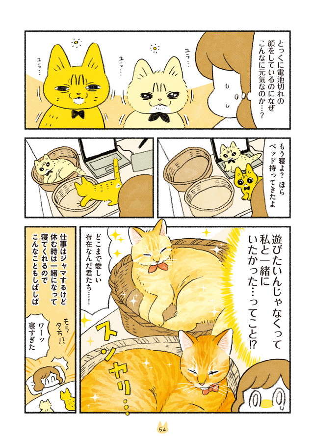 「猫はどこまで愛しい存在...！」愛猫たちが限界を超えても元気なワケ／茶トラのやっちゃんとちーちゃん２ chatora_p54.jpg