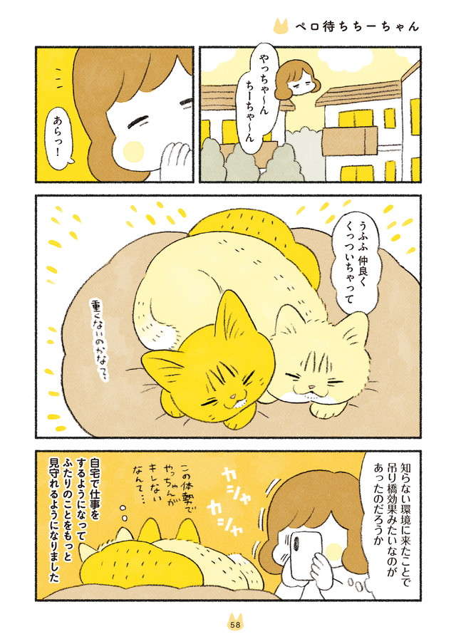 お返しのペロ待ちを無視...愛猫たちの毛づくろいでハラハラ／茶トラのやっちゃんとちーちゃん２ chatora_p58.jpg