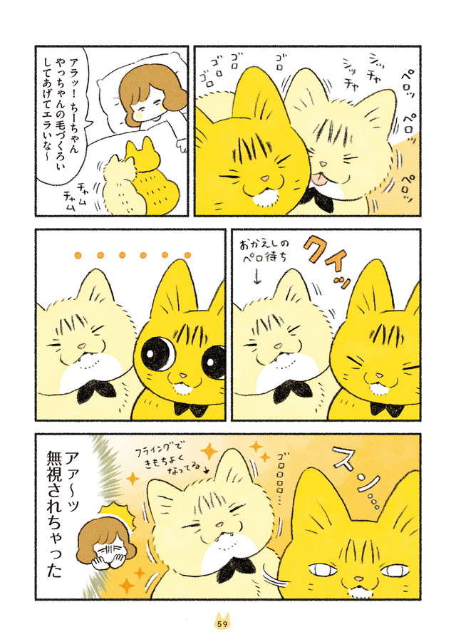 お返しのペロ待ちを無視...愛猫たちの毛づくろいでハラハラ／茶トラのやっちゃんとちーちゃん２ chatora_p59.jpg