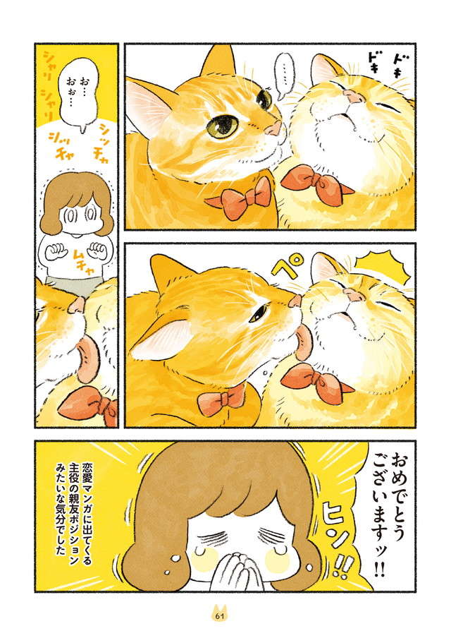 お返しのペロ待ちを無視...愛猫たちの毛づくろいでハラハラ／茶トラのやっちゃんとちーちゃん２ chatora_p61.jpg