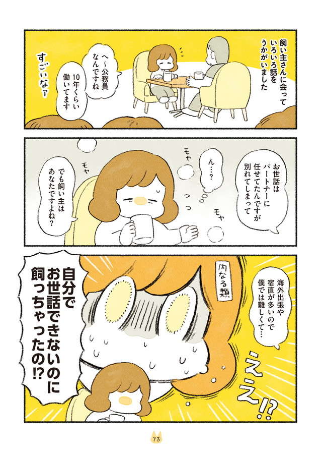 えええ！ 猫を飼うのに、世話もできない、お金もないなんて／茶トラのやっちゃんとちーちゃん２ chatora_p73.jpg