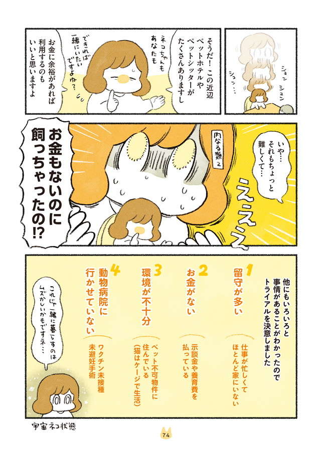 えええ！ 猫を飼うのに、世話もできない、お金もないなんて／茶トラのやっちゃんとちーちゃん２ chatora_p74.jpg