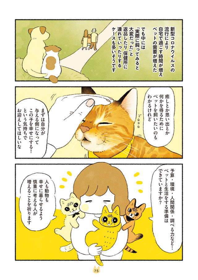 えええ！ 猫を飼うのに、世話もできない、お金もないなんて／茶トラのやっちゃんとちーちゃん２ chatora_p75.jpg