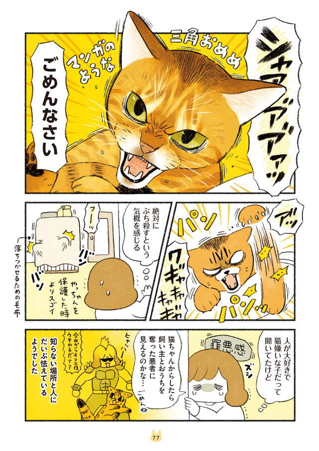 シャアアア！ 警戒心ばりばりの猫。一撃で大人しくさせたモノとは／茶トラのやっちゃんとちーちゃん chatora_p77.jpg