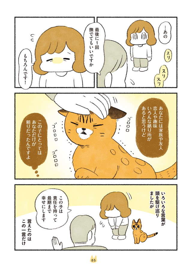 新しく猫を正式にお迎え！ 元飼い主との別れに猫の表情は...／茶トラのやっちゃんとちーちゃん chatora_p85.jpg