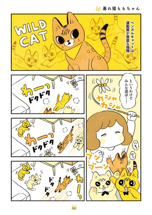 新入り猫は「運動量が豊富」。飼い主は大変だが「ほほえましい姿」も／茶トラのやっちゃんとちーちゃん chatora_p93.jpg