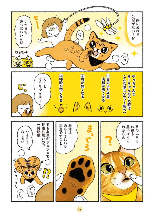 新入り猫は「運動量が豊富」。飼い主は大変だが「ほほえましい姿」も／茶トラのやっちゃんとちーちゃん chatora_p94.jpg