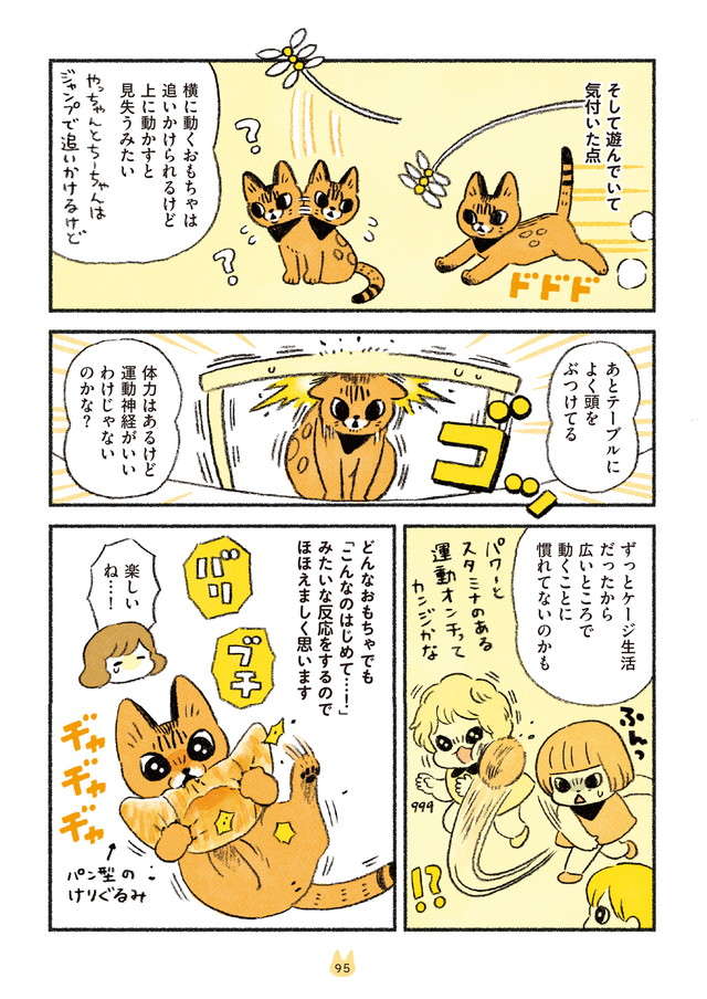 新入り猫は「運動量が豊富」。飼い主は大変だが「ほほえましい姿」も／茶トラのやっちゃんとちーちゃん chatora_p95.jpg