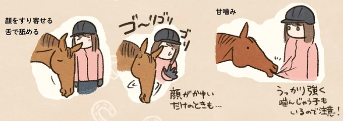 うまくできずに落ち込む私に寄り添って。馬には感情があると肌で感じた日／馬に乗らずにいられない！ 08-11.png