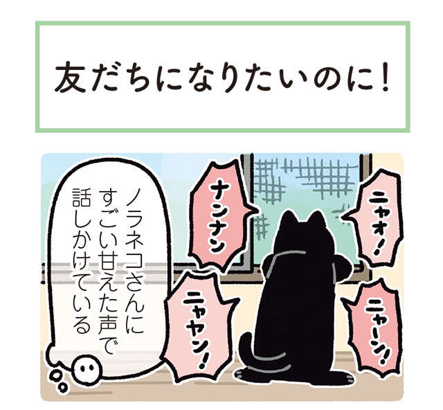 家に来るノラネコと友だちになりたい愛猫。緊張しちゃう姿が愛らしい／黒猫ろんと暮らしたら 1.jpg