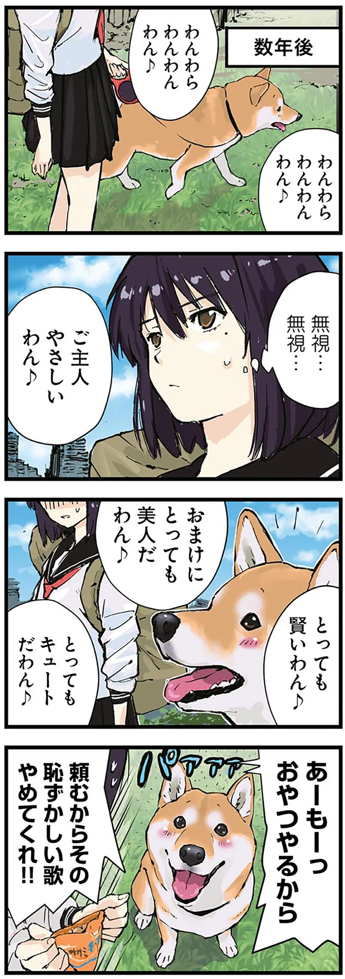 ハロウィーンに大興奮の柴犬。その理由が...和犬なのに？／世界の終わりに柴犬と 4.png