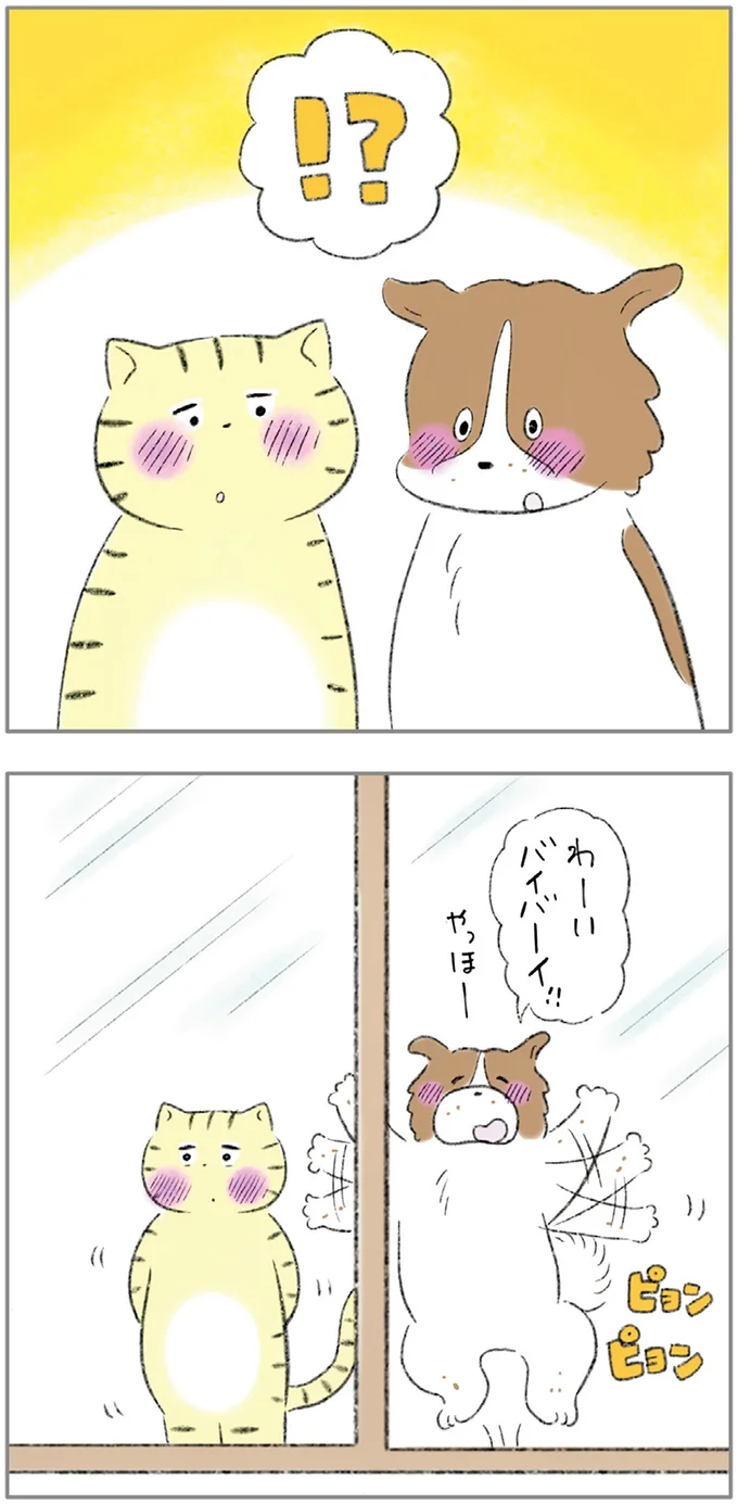 『ターとアグのしあわせ日和 元ノラ猫と元保護犬、ふたりは親友』 11-03.png