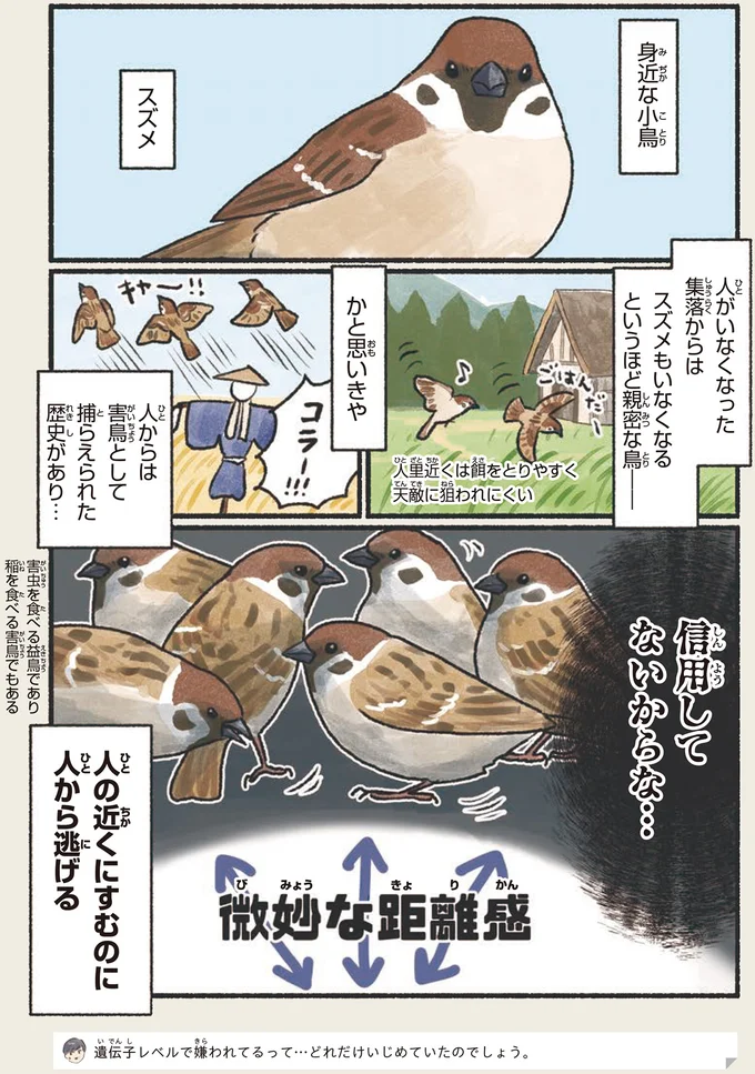 『意外と知らない鳥の生活 1〜2』 13.webp