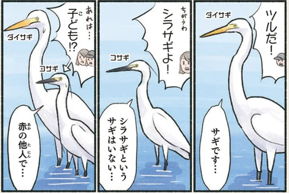 「シラサギという鳥はしない...」サギの見分けが難しくて／意外と知らない鳥の生活