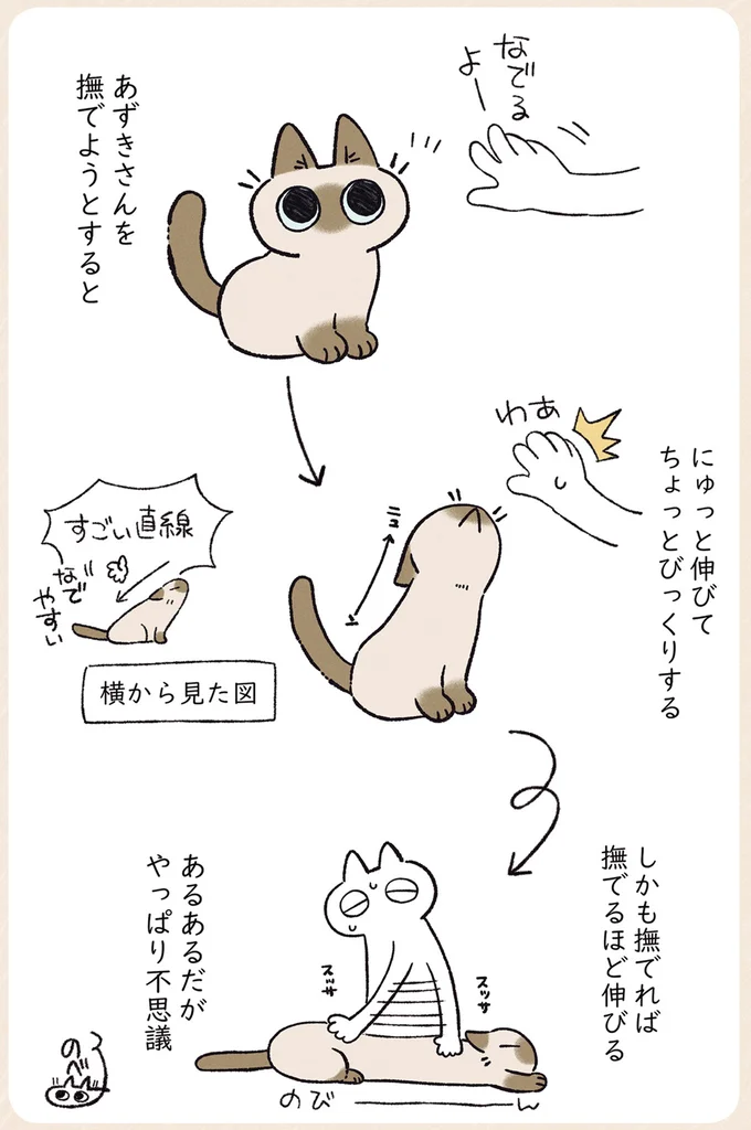 『シャム猫あずきさんは世界の中心』1〜2 11-03.png