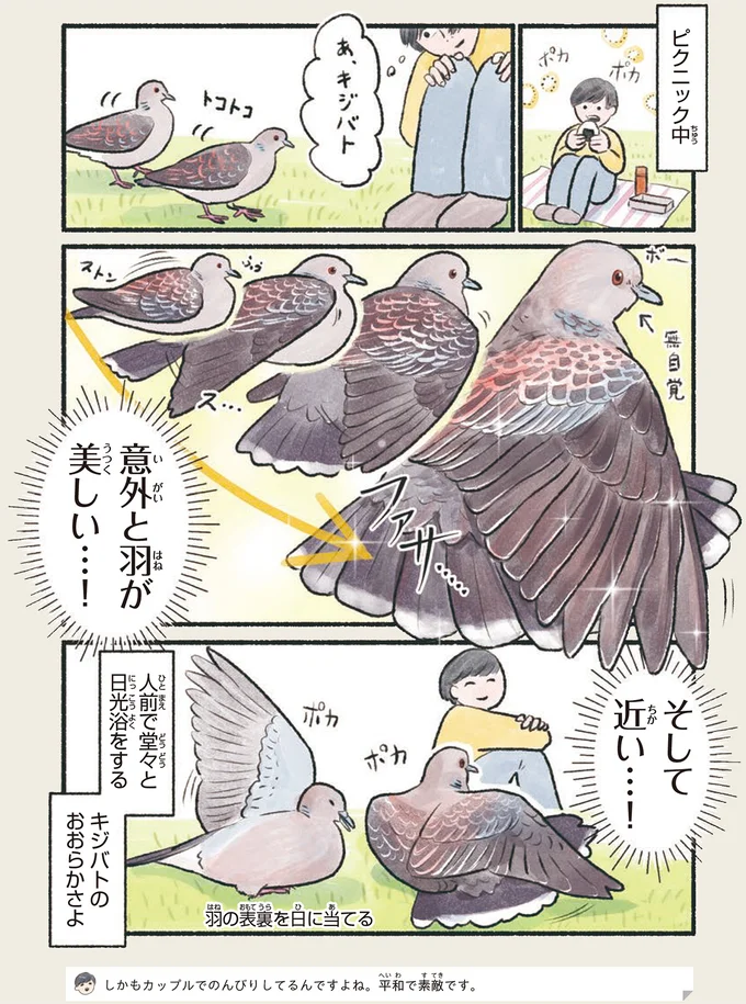 『意外と知らない鳥の生活 1〜2』 33.webp