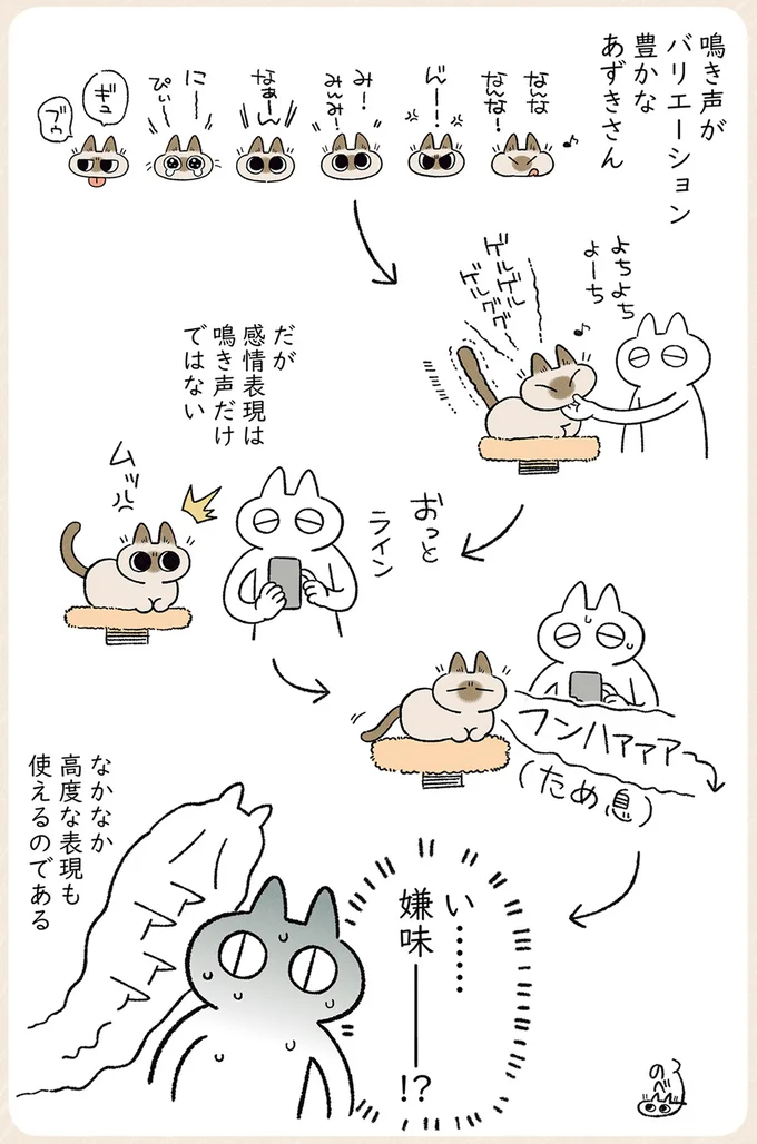 『シャム猫あずきさんは世界の中心』1〜2 14-02.png