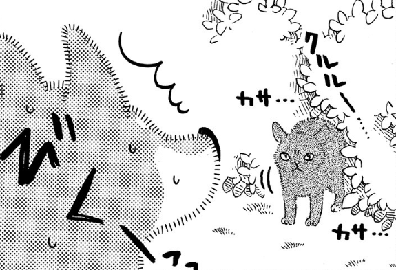 散歩中、猫に出会ったシニア柴犬。昔は警戒していたけれど今は...あれ？／じじ柴ハチさんは、今日も生きています。