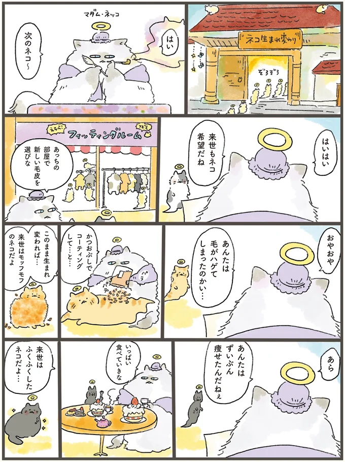 「猫のチャームポイント」はこうして生まれる？ 来世は猫を希望したら...／天国での暮らしはどうですか 05-01.png