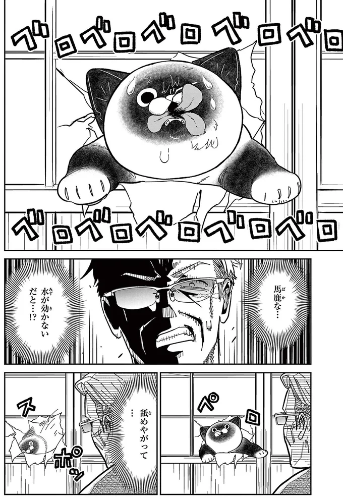 『オヤジとにゃん吉』 16199615.webp