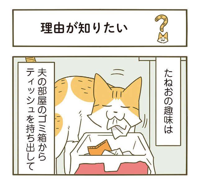 「なんのために？」猫の趣味が理解不能。何かこだわりがある...？／うちの猫がまた変なことしてる。6 1.jpg