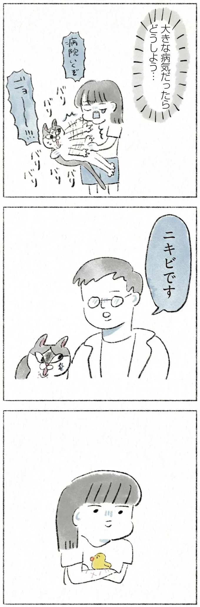 何かの感染症⁉ どどどうしよう。愛猫の顎にできものが...慌てて受診したら／うちの猫は今日も塩対応 12.webp