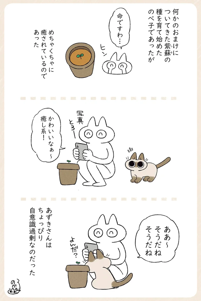 『シャム猫あずきさんは世界の中心』1〜2 17-01.png