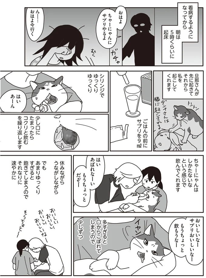 『世界一幸せな飼い主にしてくれた猫』 16-01.png