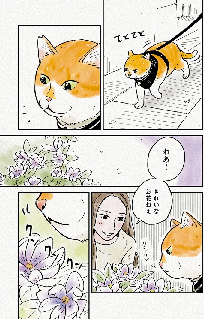 『元野良猫チャチャ 本日も見まわり中』 04-02.png