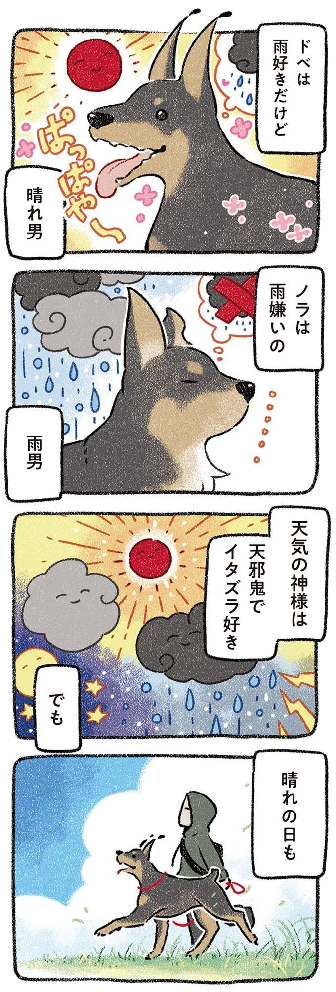 晴れの日でも雨の日でも、どこへ行っても...愛犬と一緒ならいつも最高！／ドベとノラ2 dobetonora17_1.jpeg